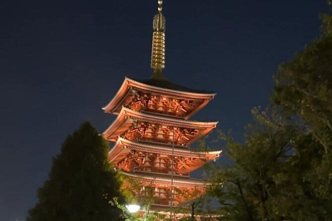 Customizable Private Tokyo Trip with an English Speaking Driver - Discovering Tokyo with a Private Driver: An Honest Breakdown