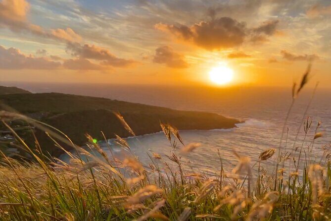 Customizable Private Tour Oahu - 1 to 6 passengers - Who Is This Tour Best Suited For?