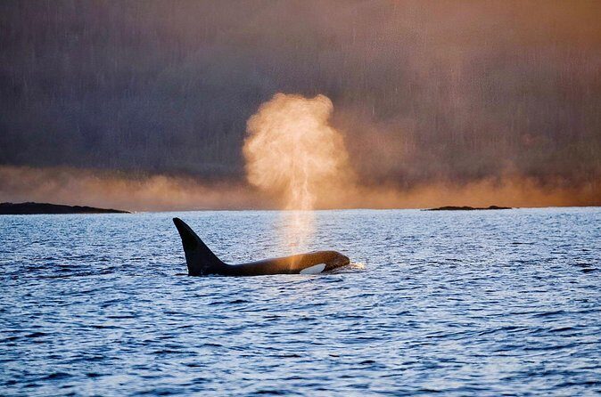 Customizable Private Wildlife Tour - The Itinerary Breakdown – What to Expect