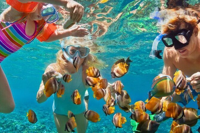 Customize Snorkeling with Option shopping Lunch & Stop local food - Key Points