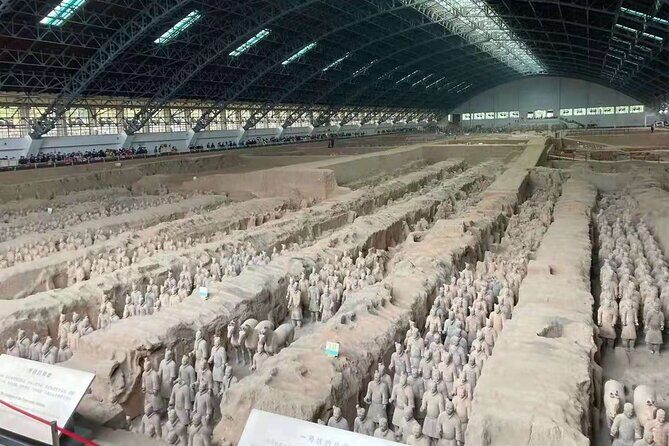 Customized Day Tour to Terracotta Army and Horses Museum - In-Depth Review of the Tour Experience