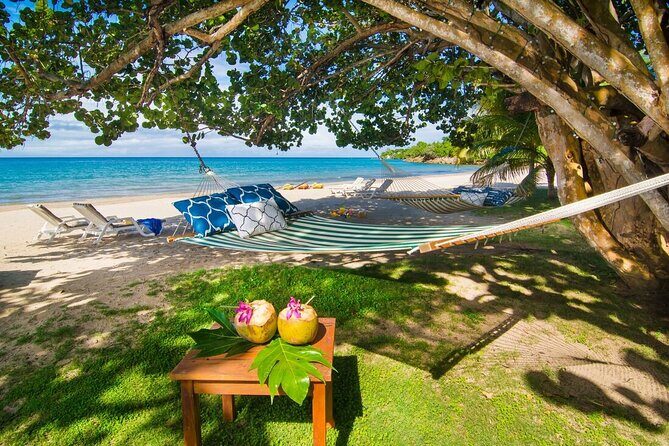 Customized Horseback Riding With One Of Four River Rapid Adventures - Exploring Jamaica’s Natural Beauty on Horseback and Rivers