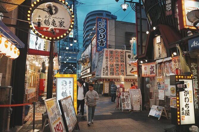 Customized Osaka Private Tour with Local Guide - Who Should Consider This Tour?