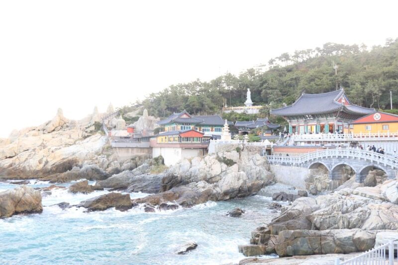 customized private Busan tour with licensed agency and guide - Key Points