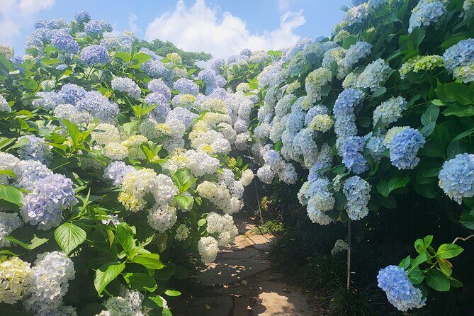 Customized private tour in Jeju island - West Jeju: Scenic Coastal Drives and Unique Attractions