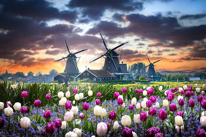 Customized Private Tour in Tesla to Zaandam, Windmills & Volendam - Who Should Consider This Tour?