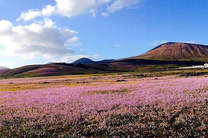 Customized Private Tours of Lanzarote island - A Deep Dive into Lanzarote’s Most Memorable Spots