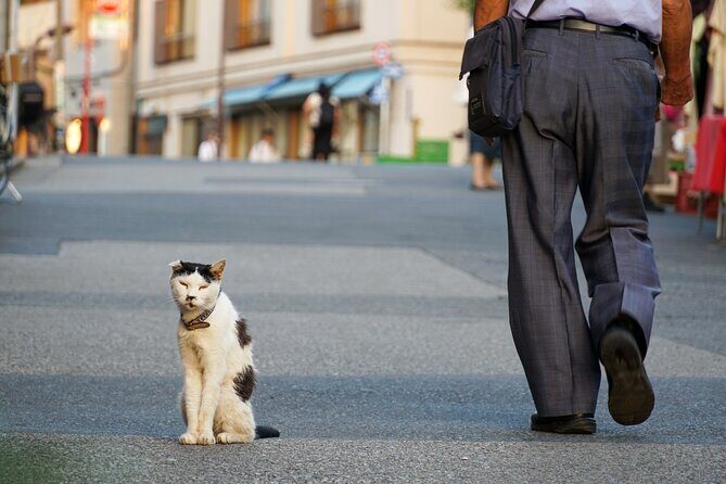 Customized Private Walking Tour of YANAKA in Tokyo Nostalgia - FAQ