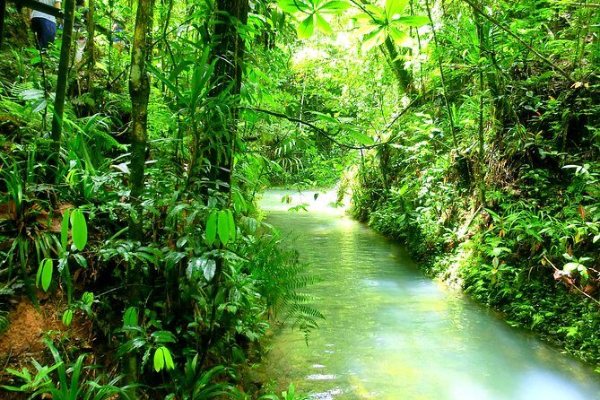 Customized Suva day tour - Itinerary Breakdown: What You Might Experience