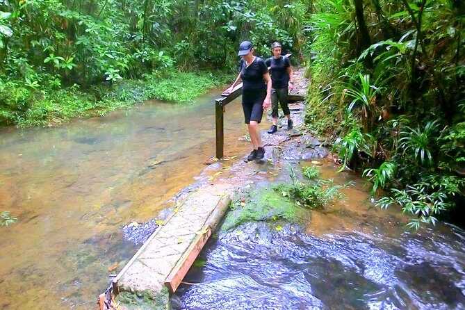 Customized Suva day tour - Who Would Love This Tour?