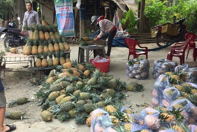 Customized Tours by Jeep - half day, full day and multiple days - A Deep Dive into the Customized Jeep Experience