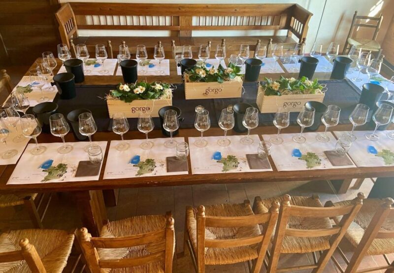 Custoza: Organic Wine Tasting with Vineyard and Cellar Tour - A Closer Look at the Experience