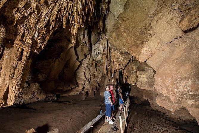 Cutta Cutta Caves Nature Park Guided Tours - A Closer Look at the Tour Itinerary