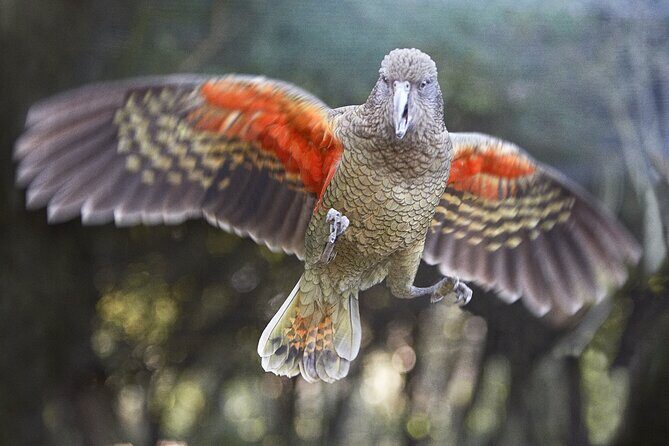 Cutta Cutta Caves Nature Park Guided Tours - The Sum Up: Who Should Consider This Tour?
