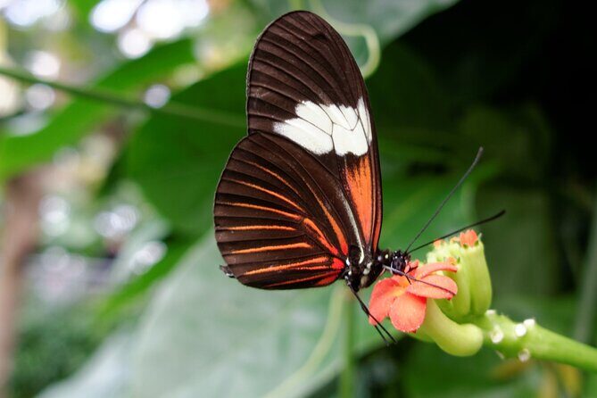 Cuyahoga Valley National Park Self-Guided Driving Audio Tour - In Summary
