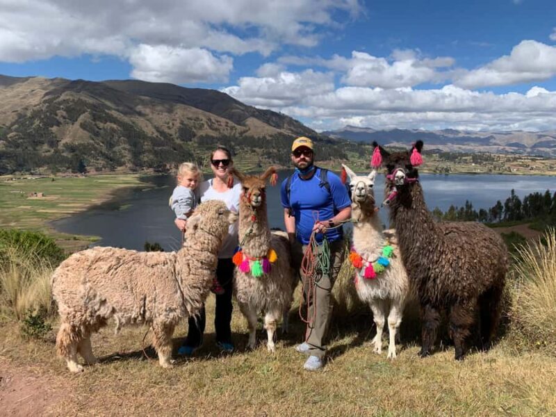 Cuzco: Nature walk with alpacas and llamas. - An In-Depth Look at the Experience