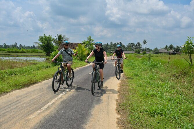 Cycling and Cooking Class in Ubud - Summary: Who Should Consider This Tour?