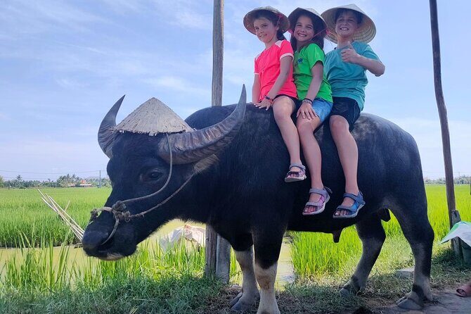 Cycling, Buffalo Ride and Basket Boat Tour in Hoi An - Key Points