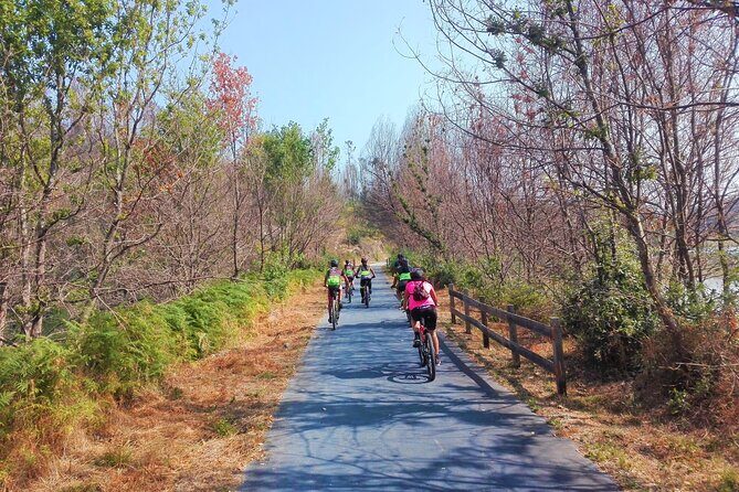 Cycling Ecopista do Dão One Way, full-day from Coimbra - An In-Depth Look at the Ecopista do Dão Full-Day Tour