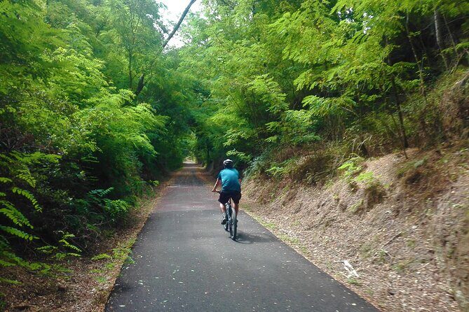 Cycling Ecopista do Dão One Way, full-day from Coimbra - The Sum Up