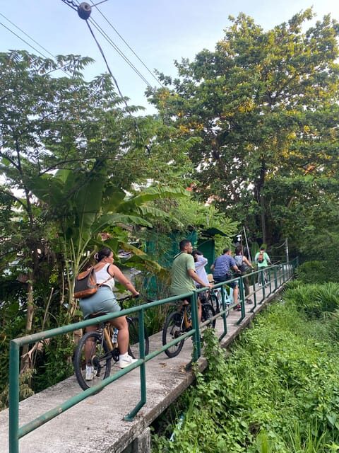 Cycling in the public park in Bangkok - Cycling in the Public Park in Bangkok: A Refreshing Escape into Nature