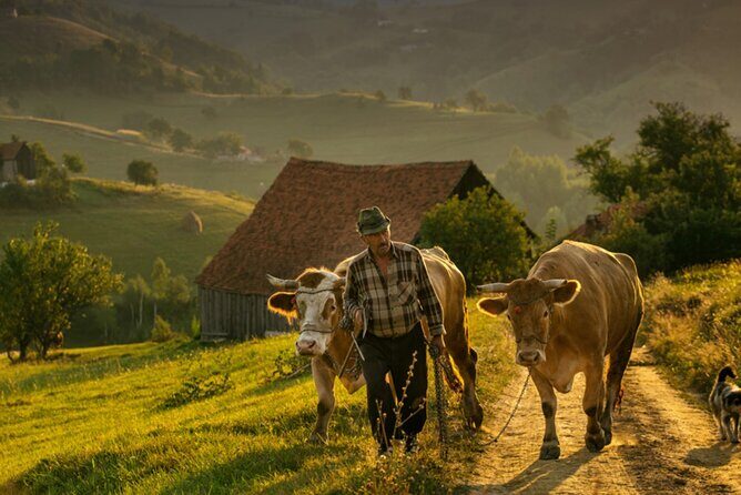 Cycling in Transylvania - Cycling in Transylvania: An Authentic Adventure on Two Wheels