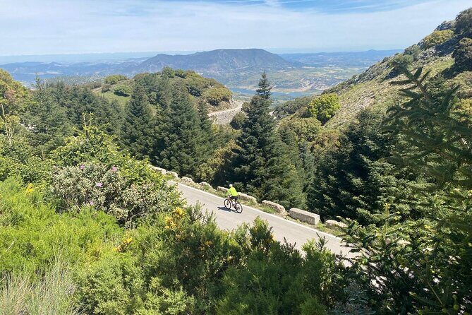 Cycling - Las Palomas Pass - Easy to Moderate Difficulty - An Authentic Ride Through Andalusian Countryside