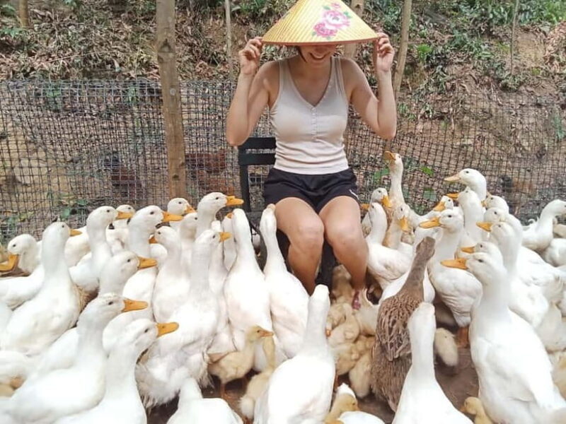 Cycling Through Countryside and Cooking Class in Duck Stop - In-Depth Review of the Cycling and Cooking Experience