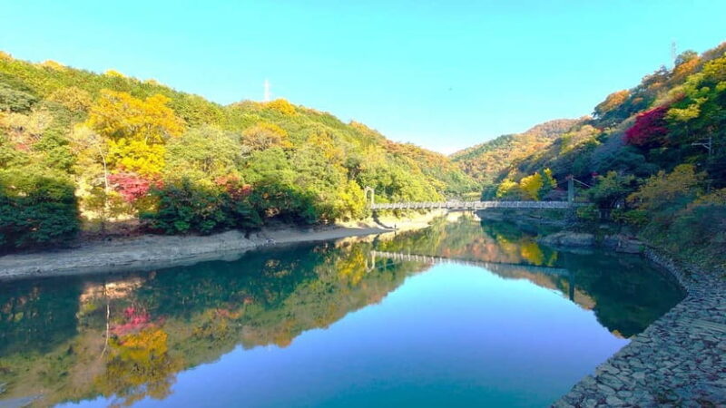 Cycling Tour at Uji's Matcha Green Tea Fields and Heritage - Key Points