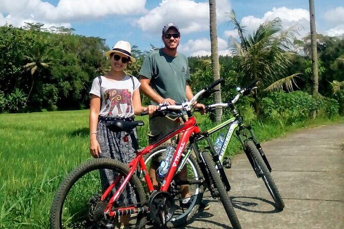 Cycling Tour in Yogyakarta with Lunch 3-Hour - Who Is This Tour Best For?