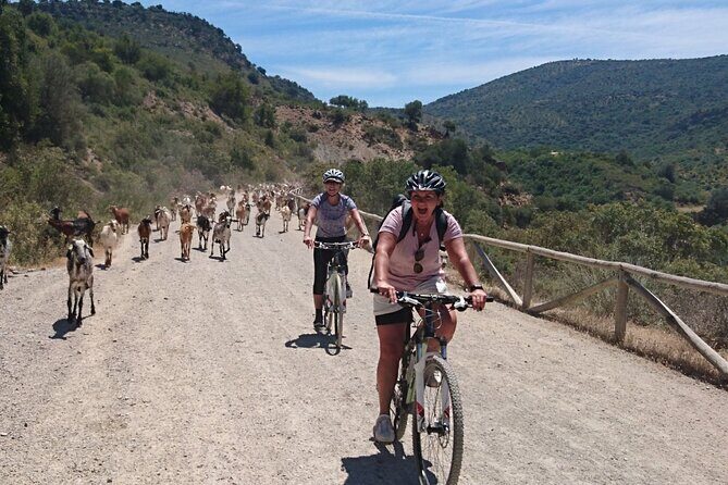 Cycling - Via Verde de la Sierra - 36km - Easy Level - Review Highlights from Past Participants