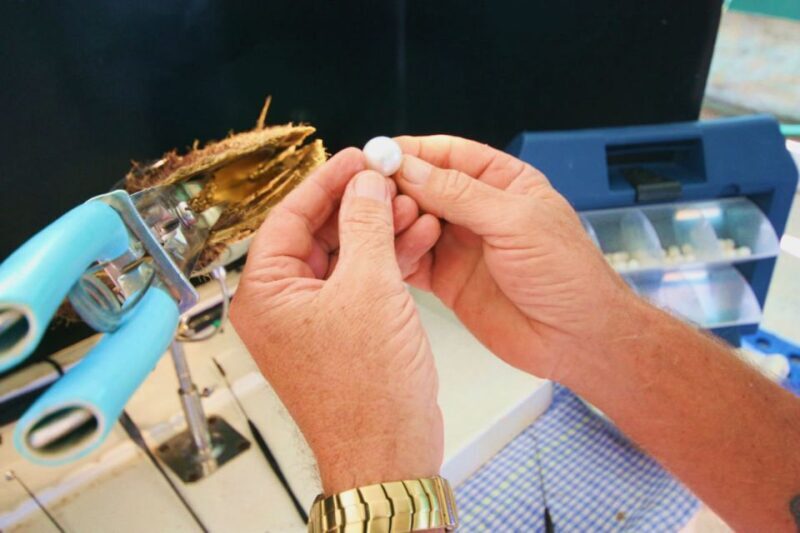 Cygnet Bay Pearl Farm Behind-the-Scenes Tour & Live Harvest - Exploring Cygnet Bay Pearl Farm: An In-Depth Review
