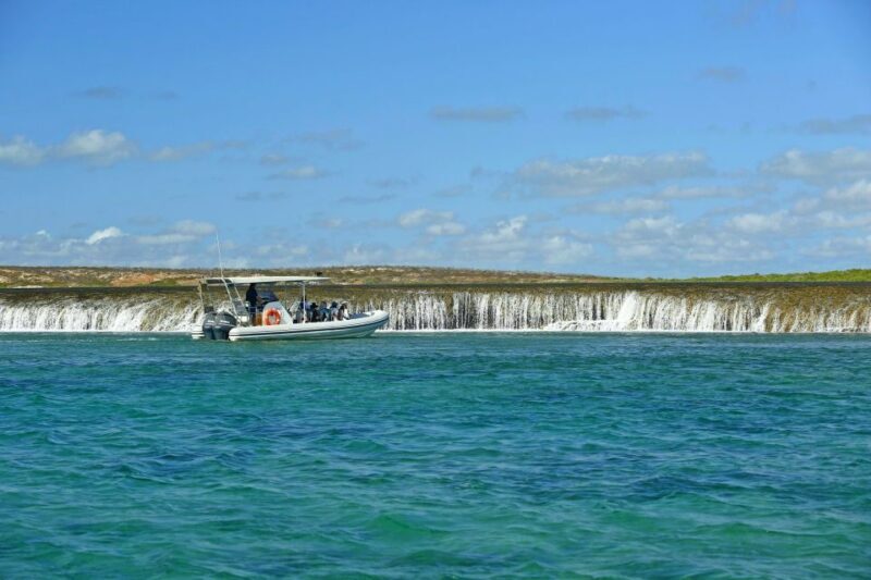 Cygnet Bay Unique Tidal Waterfall Reefs Scenic Cruise - Final Thoughts: Who Is This Tour Best For?