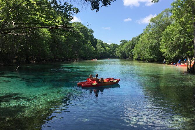 Cypress Springs Eco Adventure - Why This Tour Works So Well