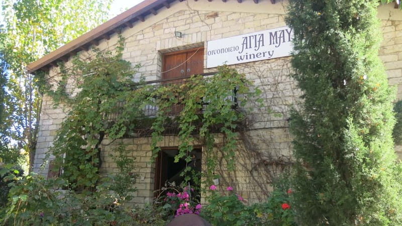 Cyprus: Troodos Mountain Wine Tour with a Local - A Deep Dive into the Troodos Mountain Wine Tour