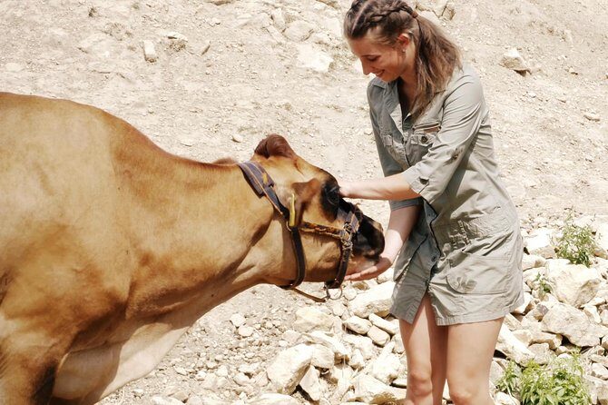 Czech Countryside Villages Tour from Prague with Animal Farm - The Value of the Experience