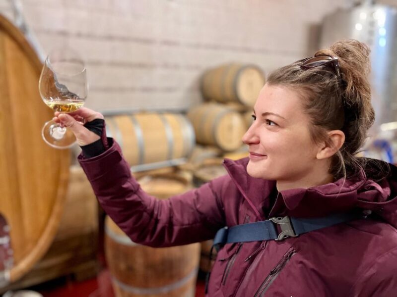 Czech Vineyards and Wine Tasting 4WD Tour with Lunch - A Deep Dive into the Czech Vineyards and Castles Tour