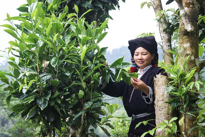 Da Bac Discovery trek and tour 2D1N - An In-Depth Look at the Da Bac Discovery Trek