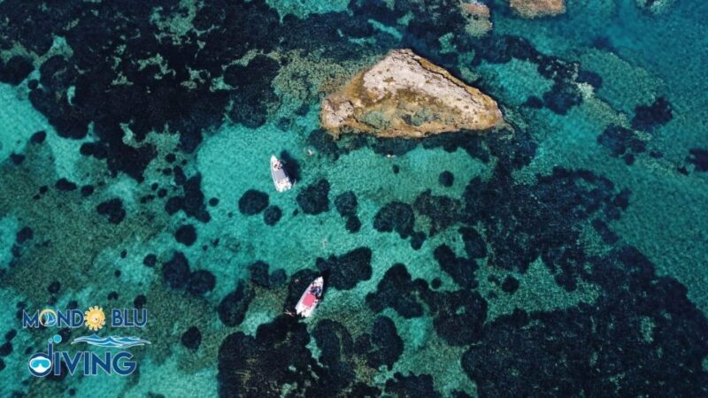 Da Capo Vaticano a Tropea - Tour Snorkeling con aperitivo - FAQ