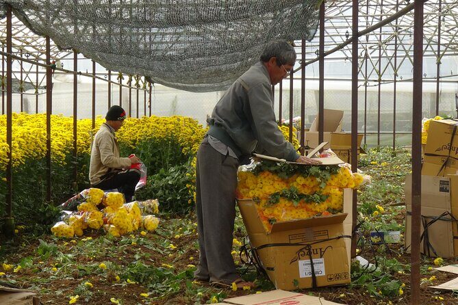 Da lat Countryside: Nature & Culture Tour by Car - What the Reviews Tell Us