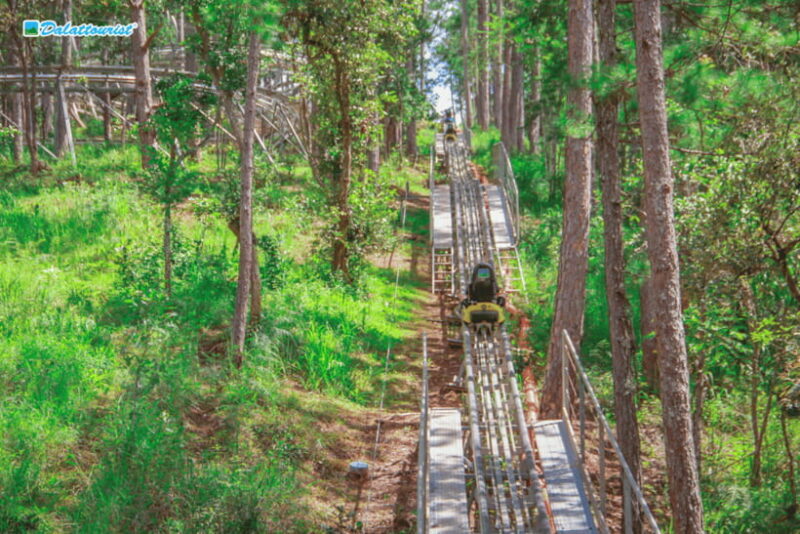 Da Lat: Datanla New Alpine Coaster Experience Entry Ticket - In-Depth Review of the Datanla Alpine Coaster