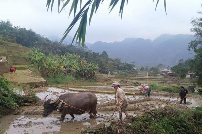 Da Lat Easy Rider-Motorbike Tour-3 Days From Dalat To Nha Trang - Day 1: From Dalat into the Countryside