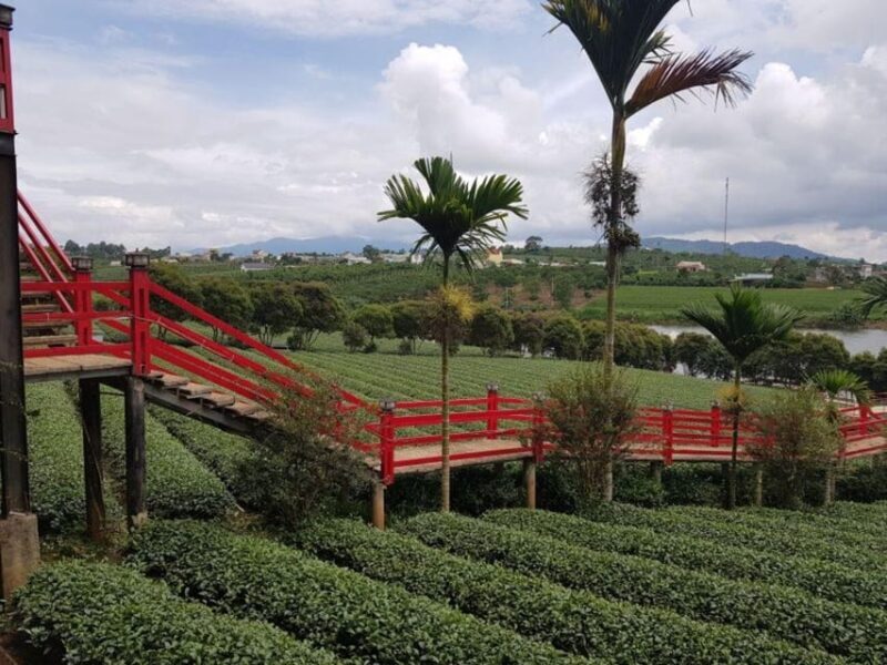 Da Lat: Explore Countryside trip with Motorbike Rider - Key Points