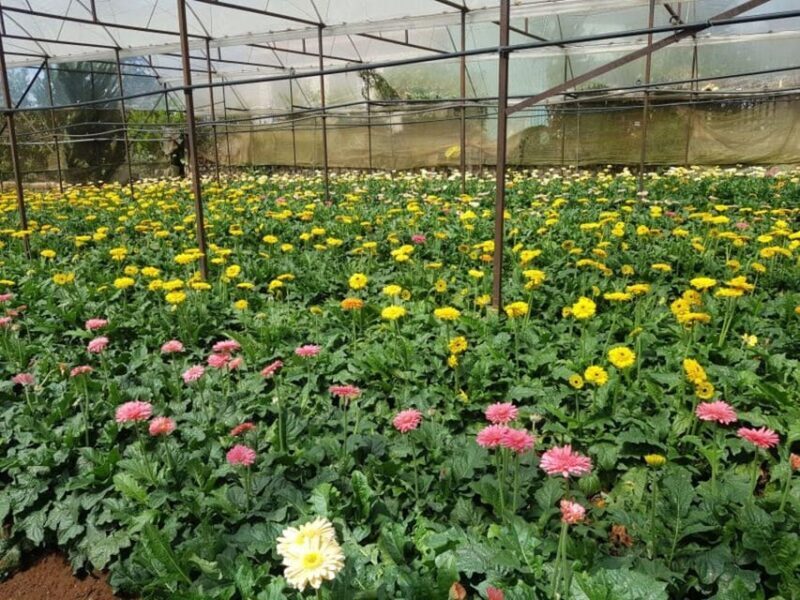 Da Lat: Explore Countryside trip with Motorbike Rider - Frequently Asked Questions