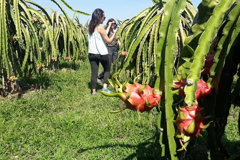 Da Lat Loop Tour On Private Car - FAQ