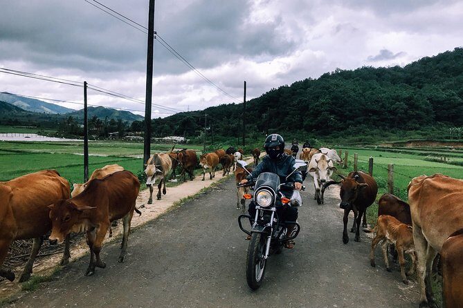 Da Lat's Countryside & Waterfalls Day Tour by Motorbike - Key Points