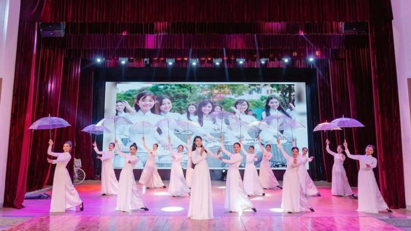 Da Nang: Ao Dai Show - In Summary
