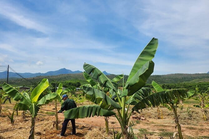 Da Nang ATV Quad Bike Adventure - Key Points