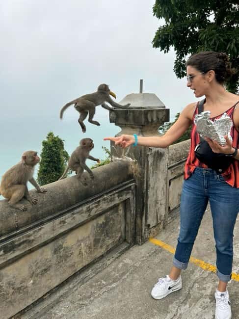 Da Nang City Side - My Son Sanctuary Small Group Tour - Authentic Experiences That Stand Out