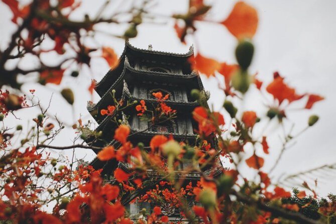 Da Nang City Tour 1 Day- Private Tour - A Close Look at the Da Nang Private Tour Experience